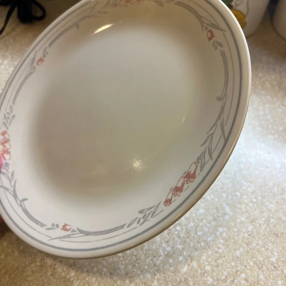 2 Vintage Corelle Dinner plates Rose Pattern